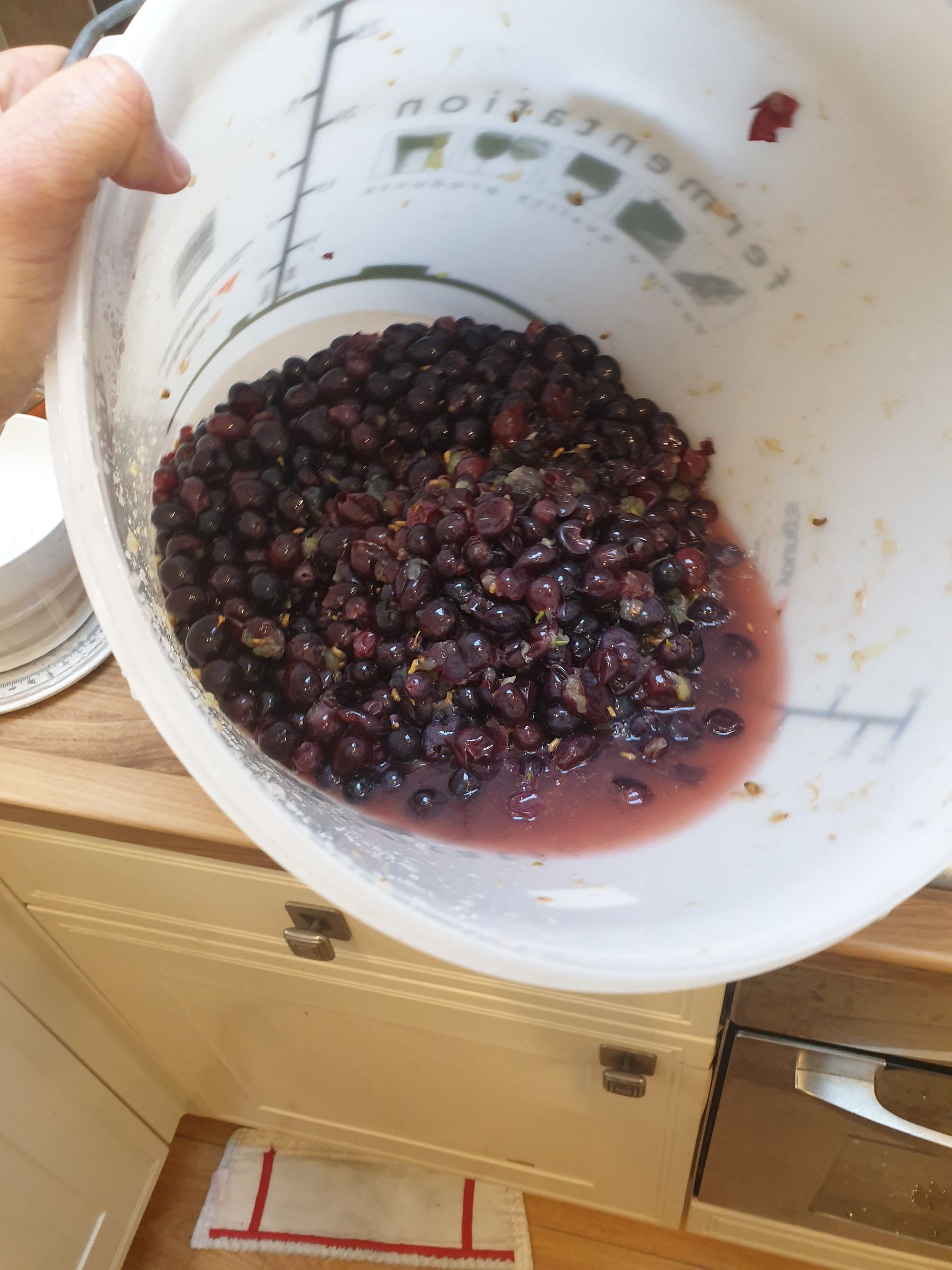 How to Make Your Own Wine From Grapes at Home 20 Steps (with Pictures