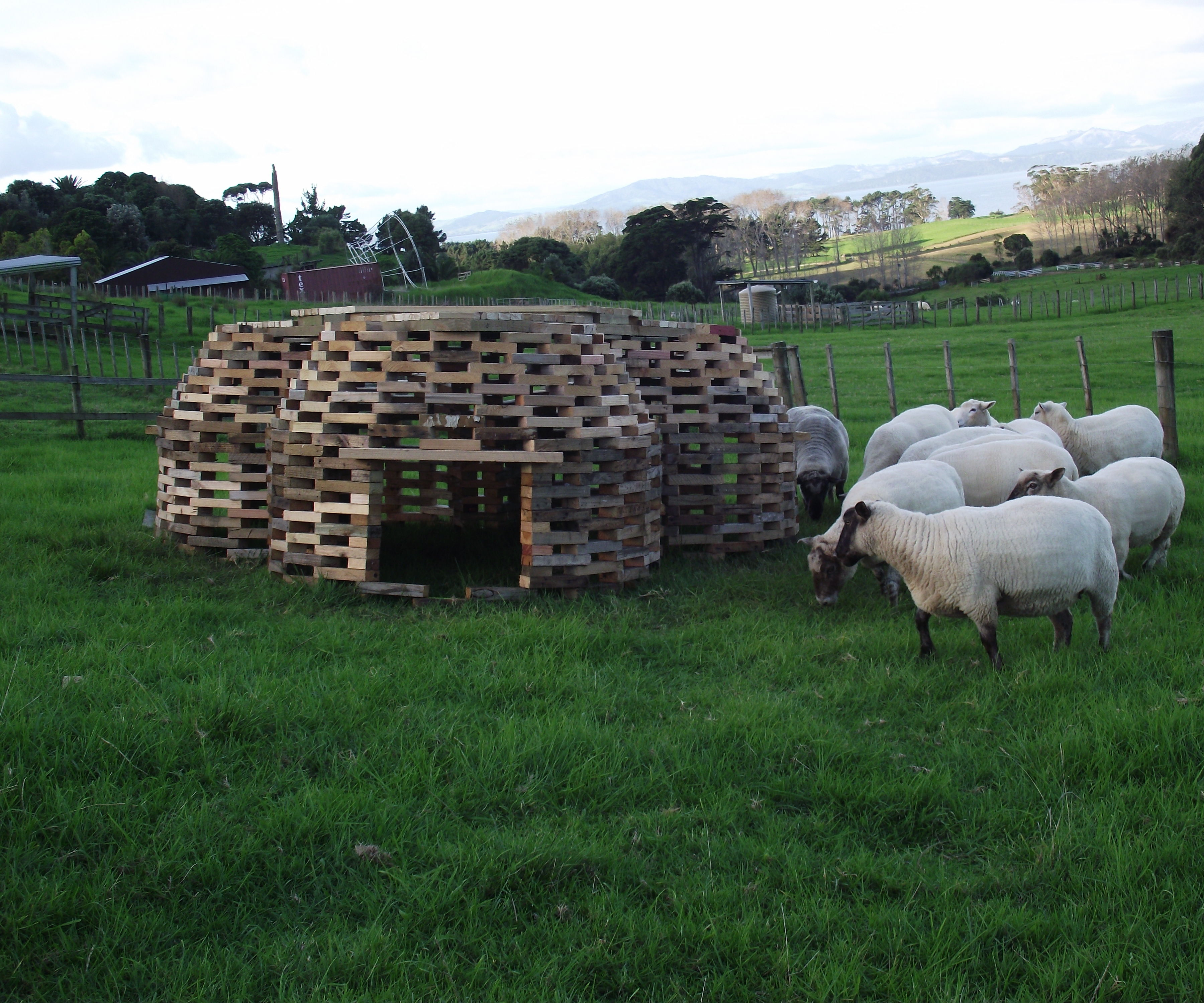 Sheephive - an Unconventional Sheep Shelter