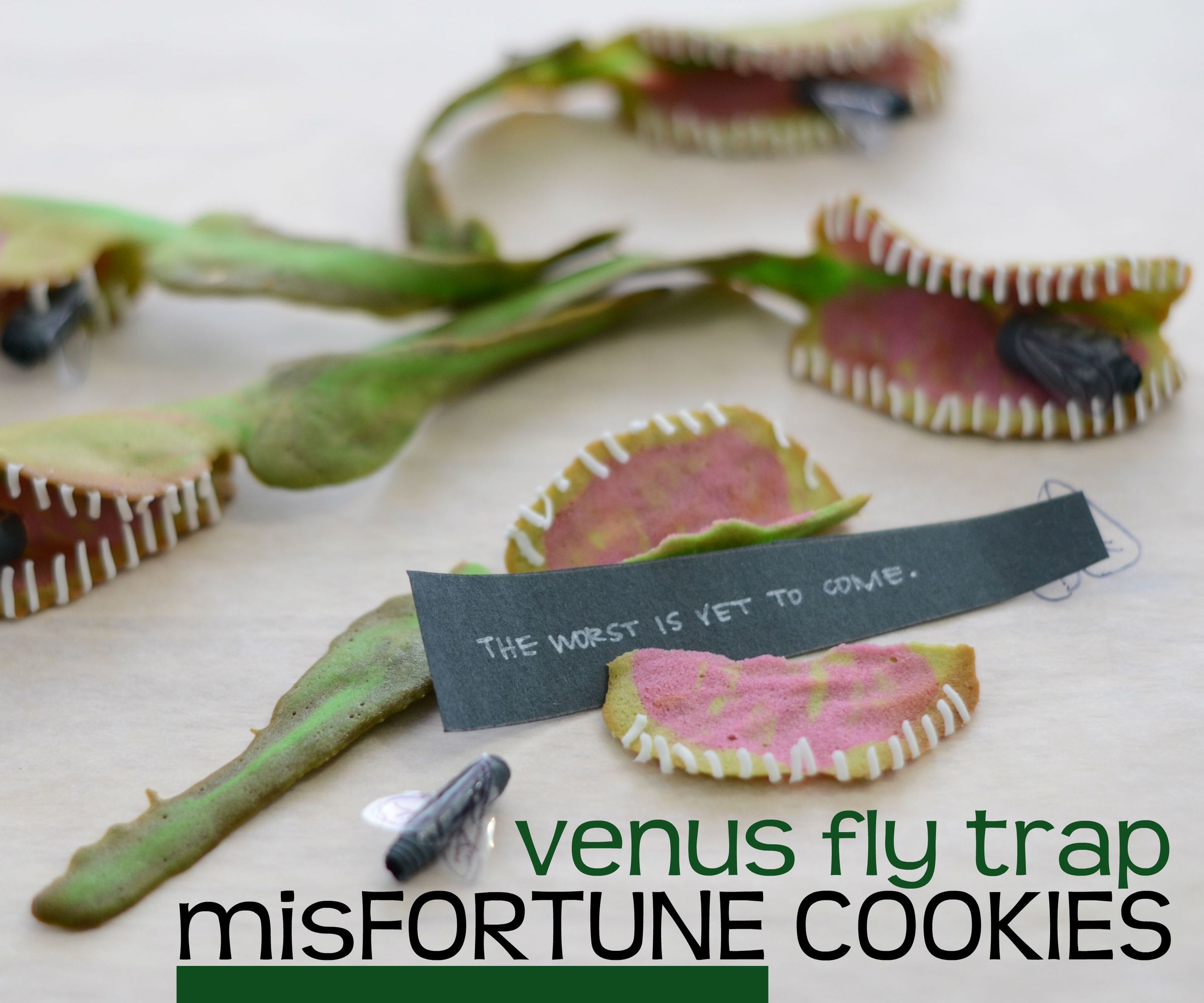 Venus Fly Trap MisFortune Cookies