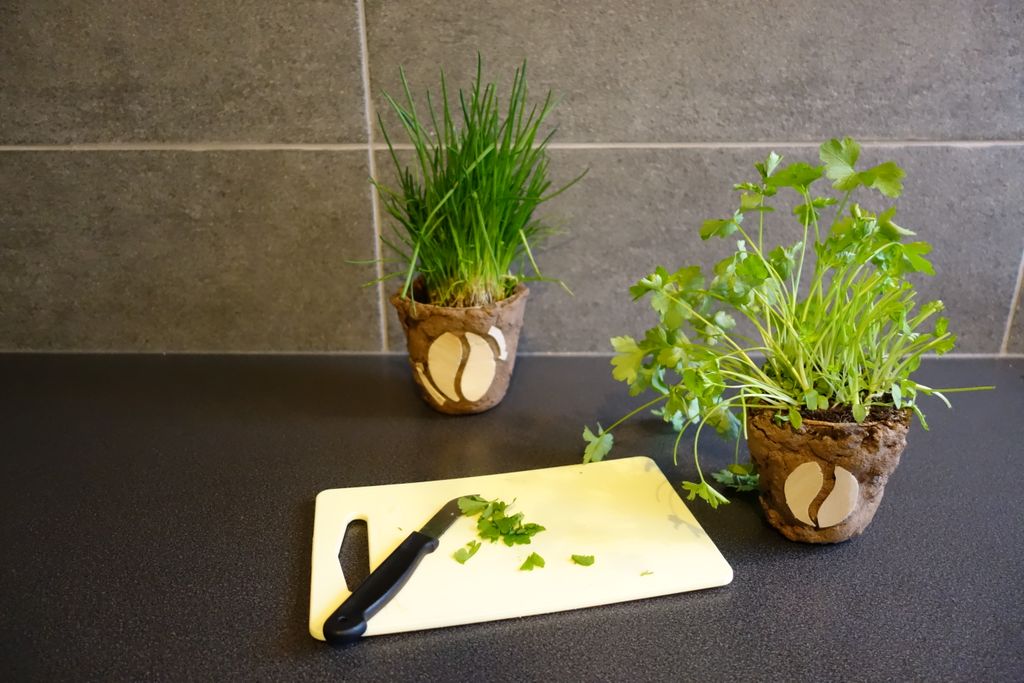 Biodegradable Flower Pots Out of Coffee Grounds! : 6 Steps (with Pictures)  - Instructables