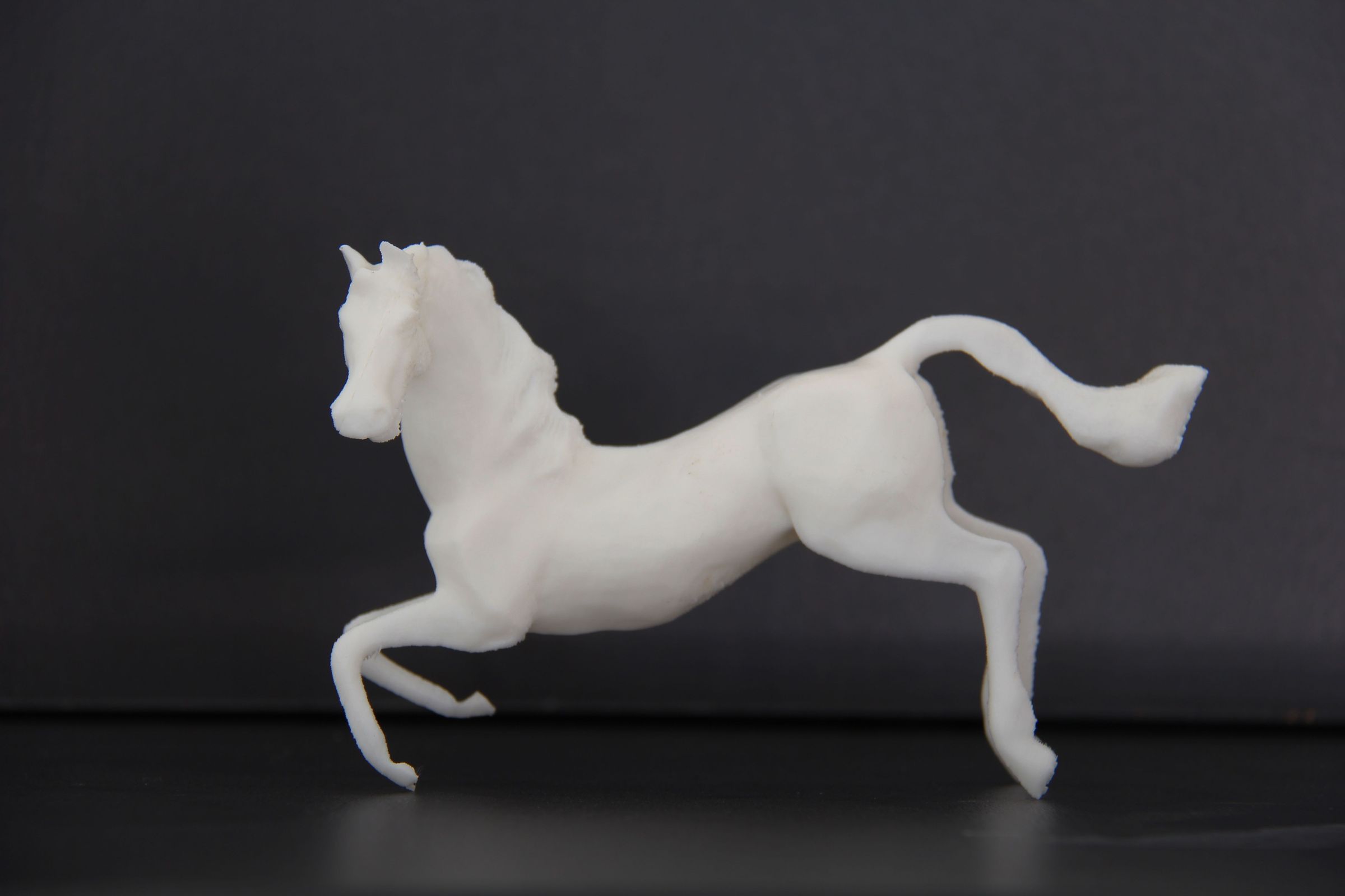 Happy Horse New Year!