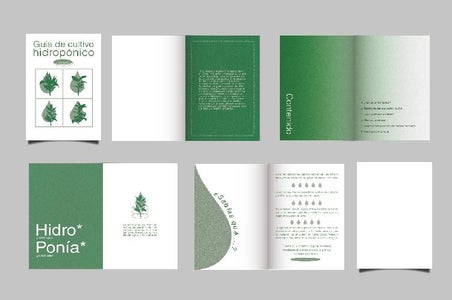 Sistema De Cultivo Hidropónico Doméstico a Partir De Material Reciclado