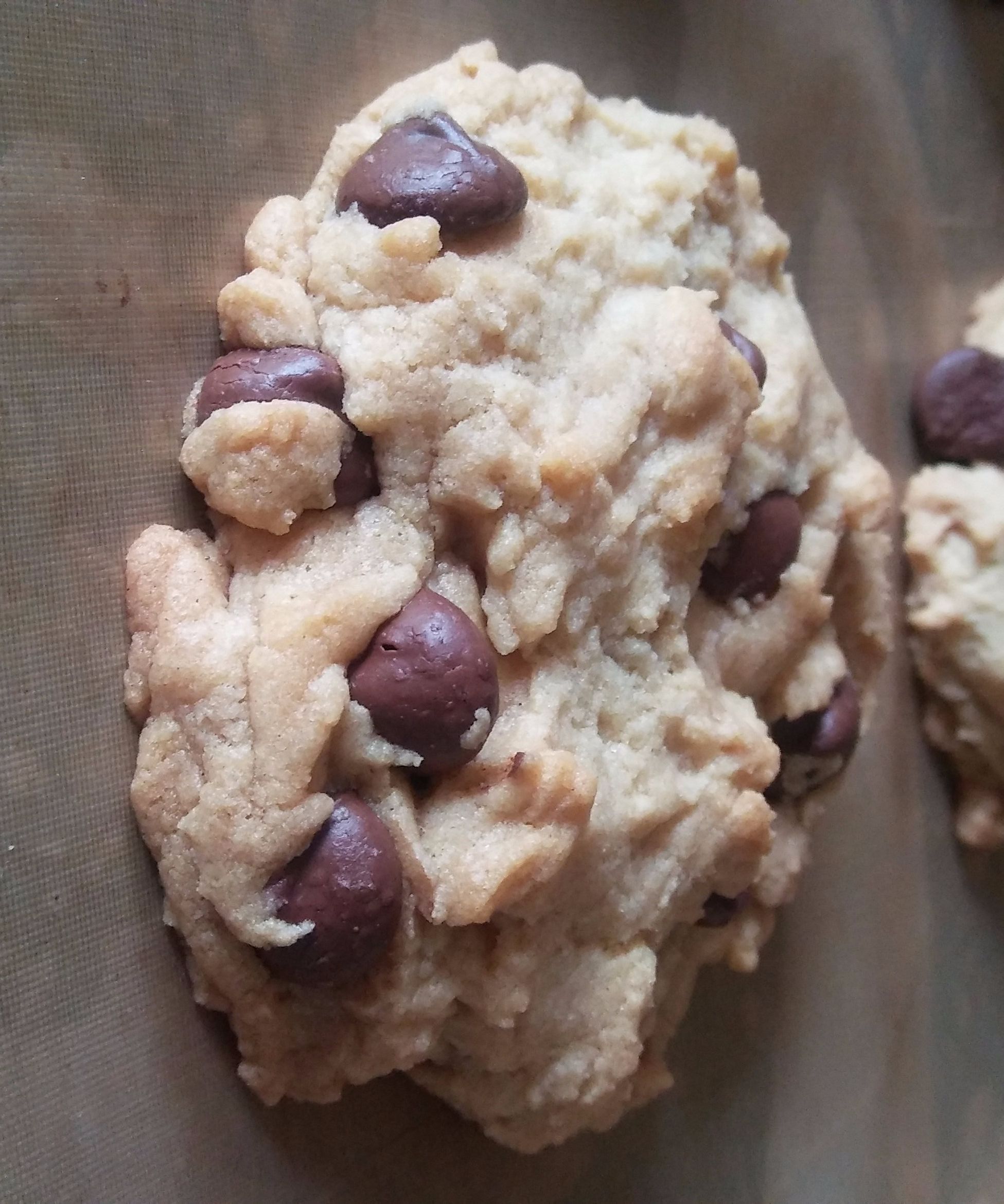 Easy Vegan Chocolate Chip Cookies