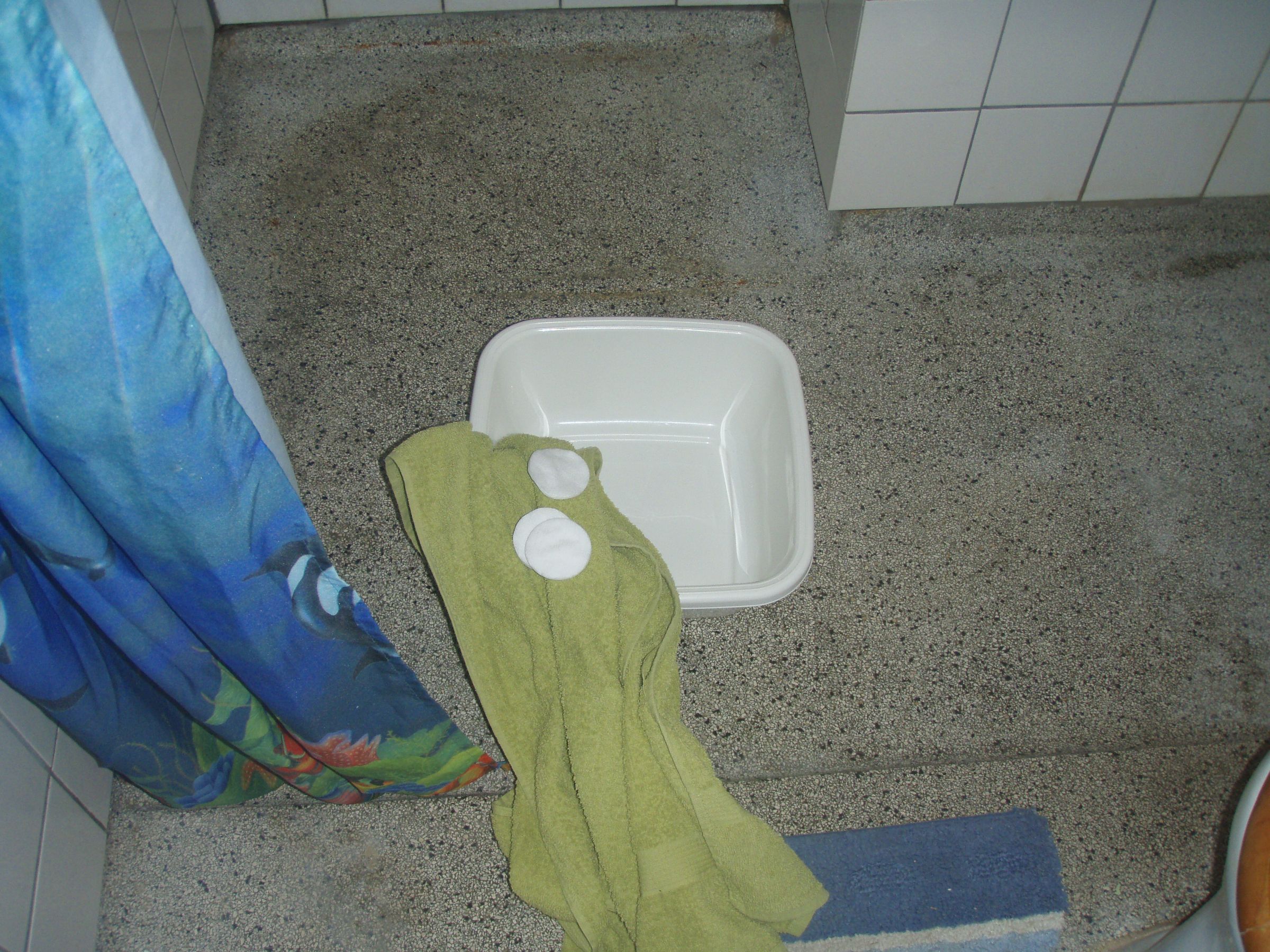 How to Bathe a Rat, THE NICE, NO FUSS WAY : 5 Steps - Instructables