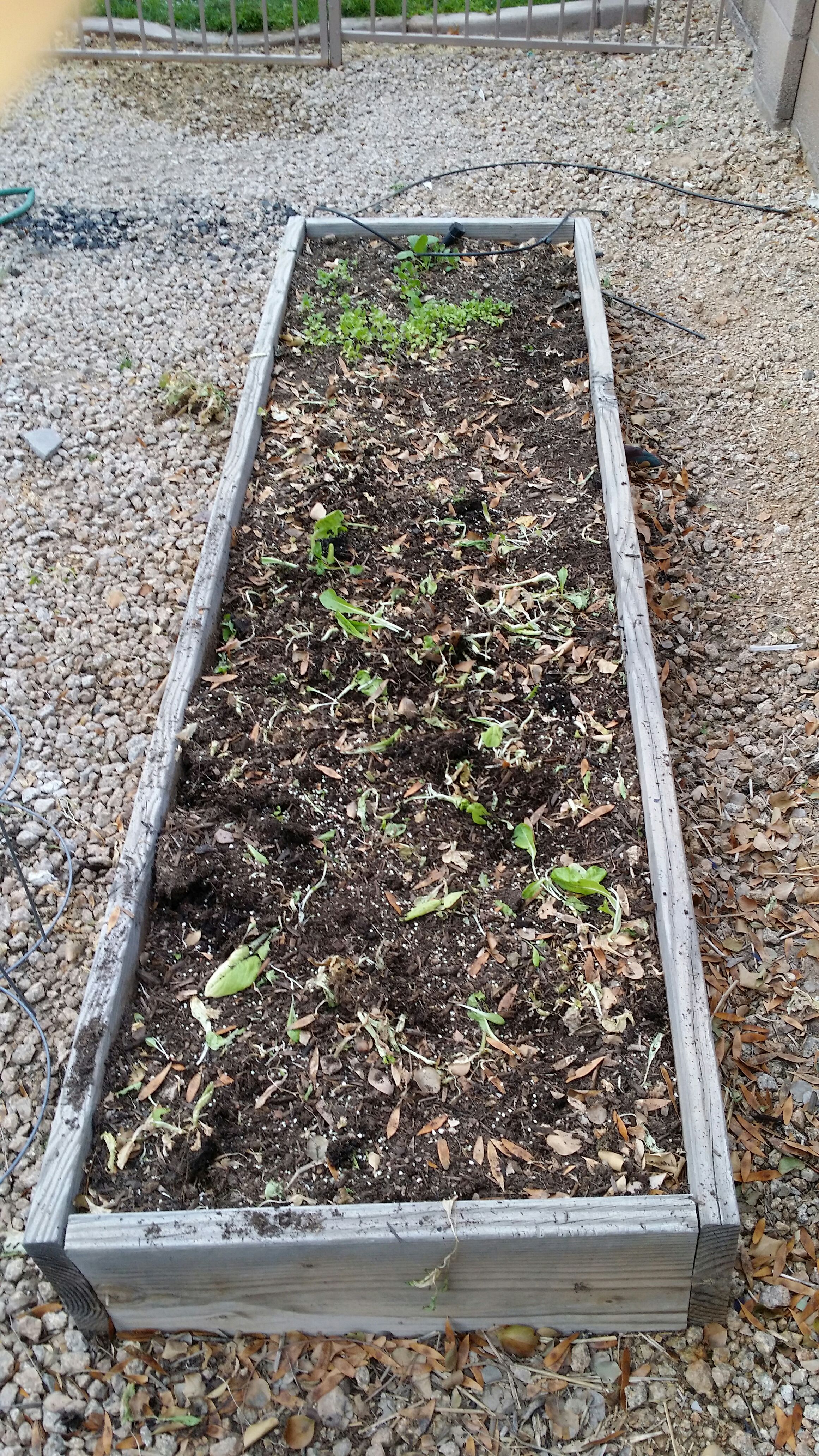 Tilling Raised Bed Gardens 4 Steps Instructables