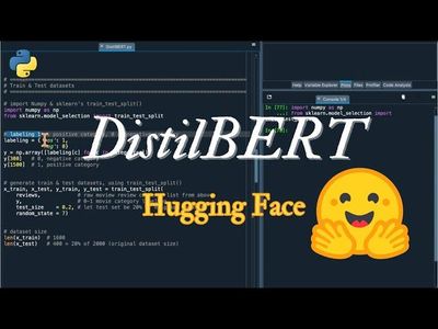 Run DistilBERT AI Engine on Local Computer Using Python/TkInter