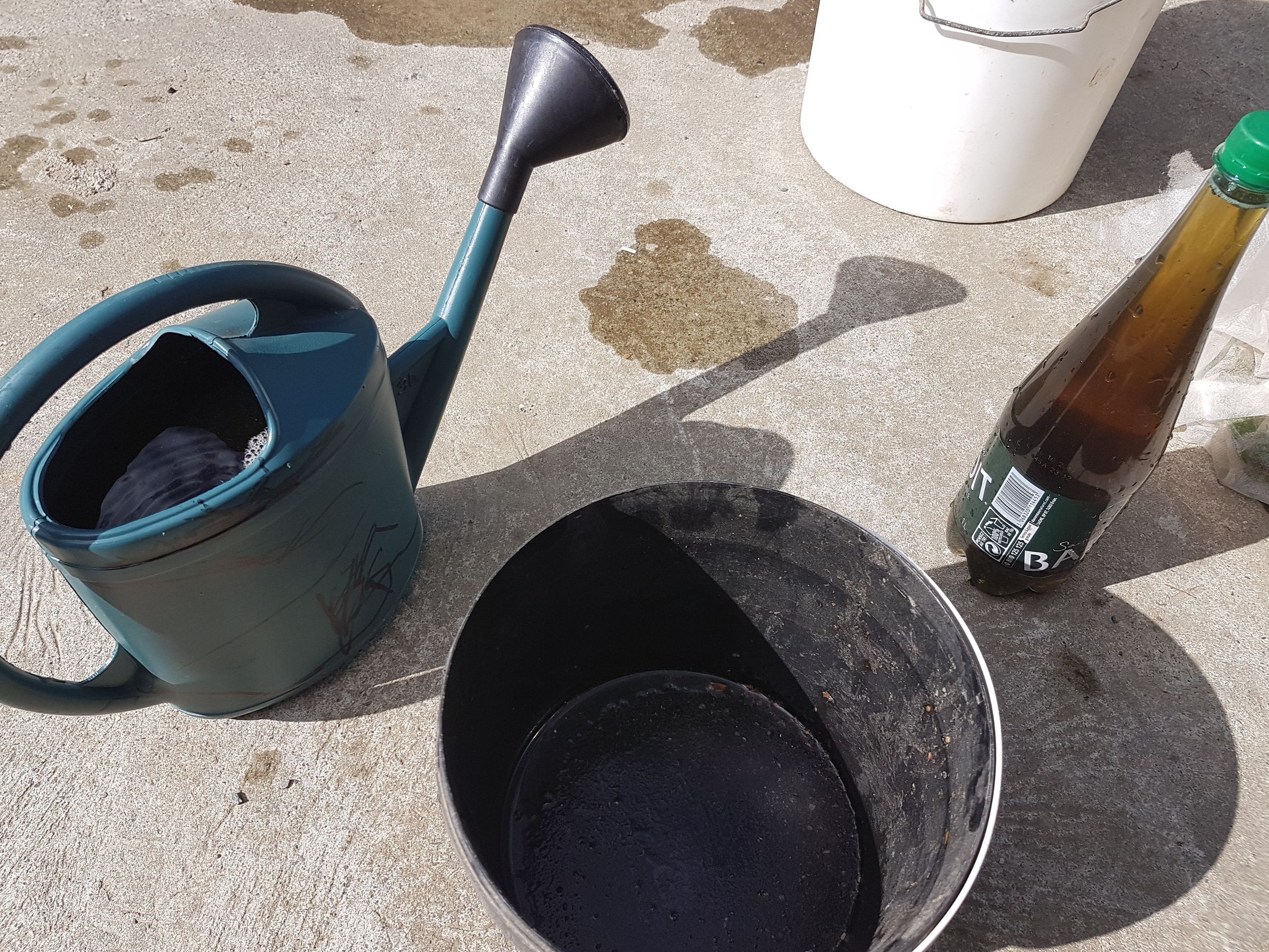 Organic Care of Your Garden Manure, Maceration and Decoction (incl