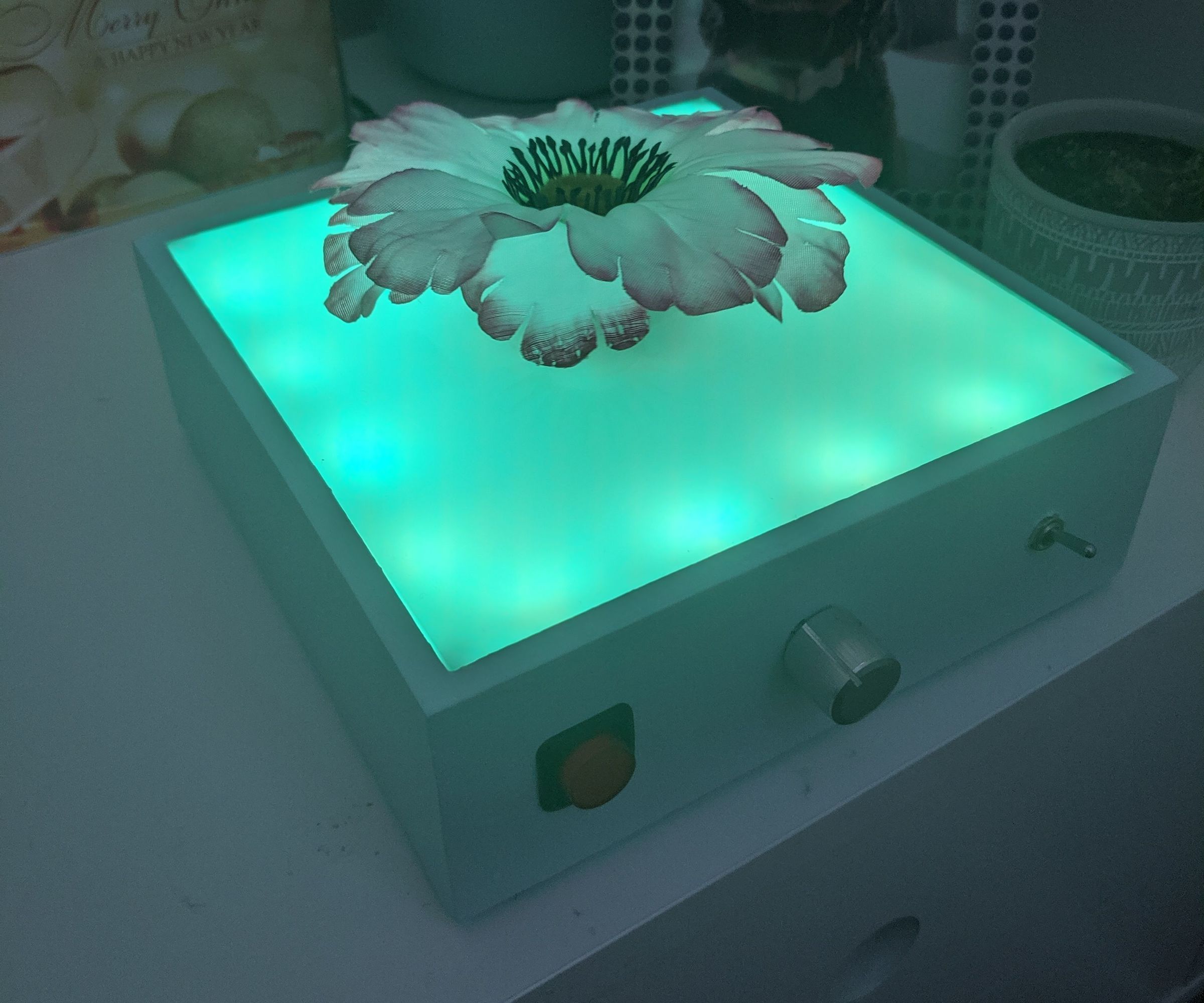 Levitating Flower Light