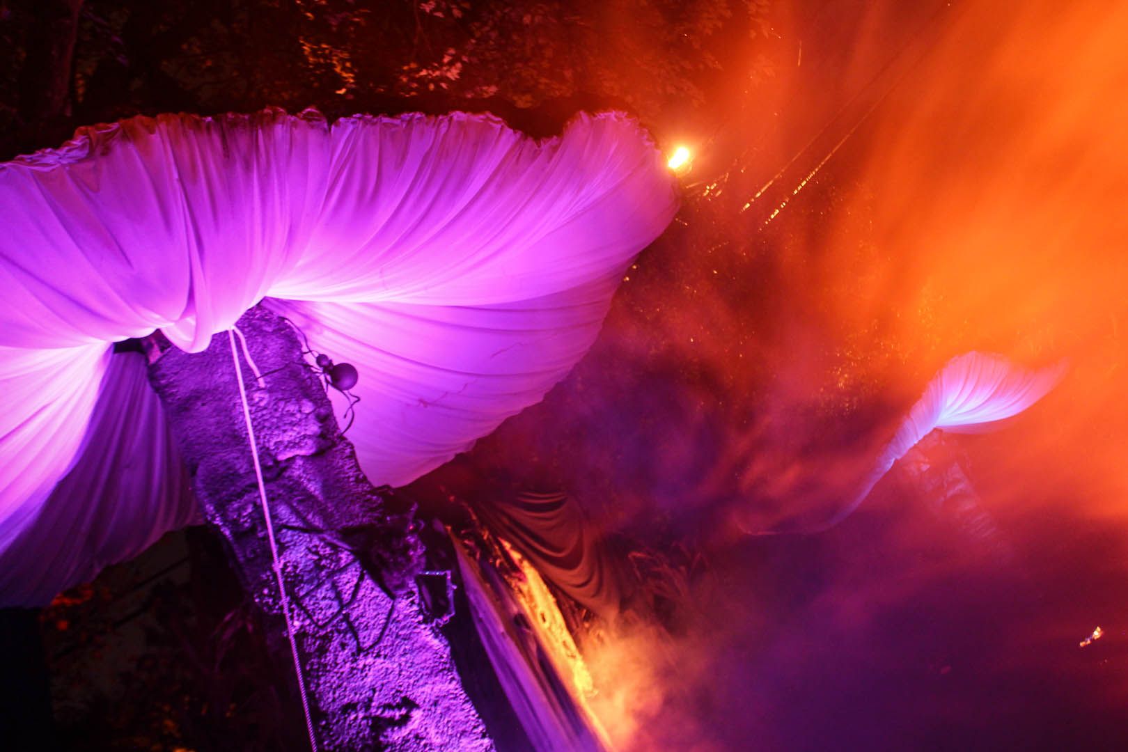 Giant Mushrooms : 5 Steps (with Pictures) - Instructables