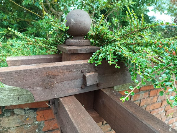 Assemble the Structure