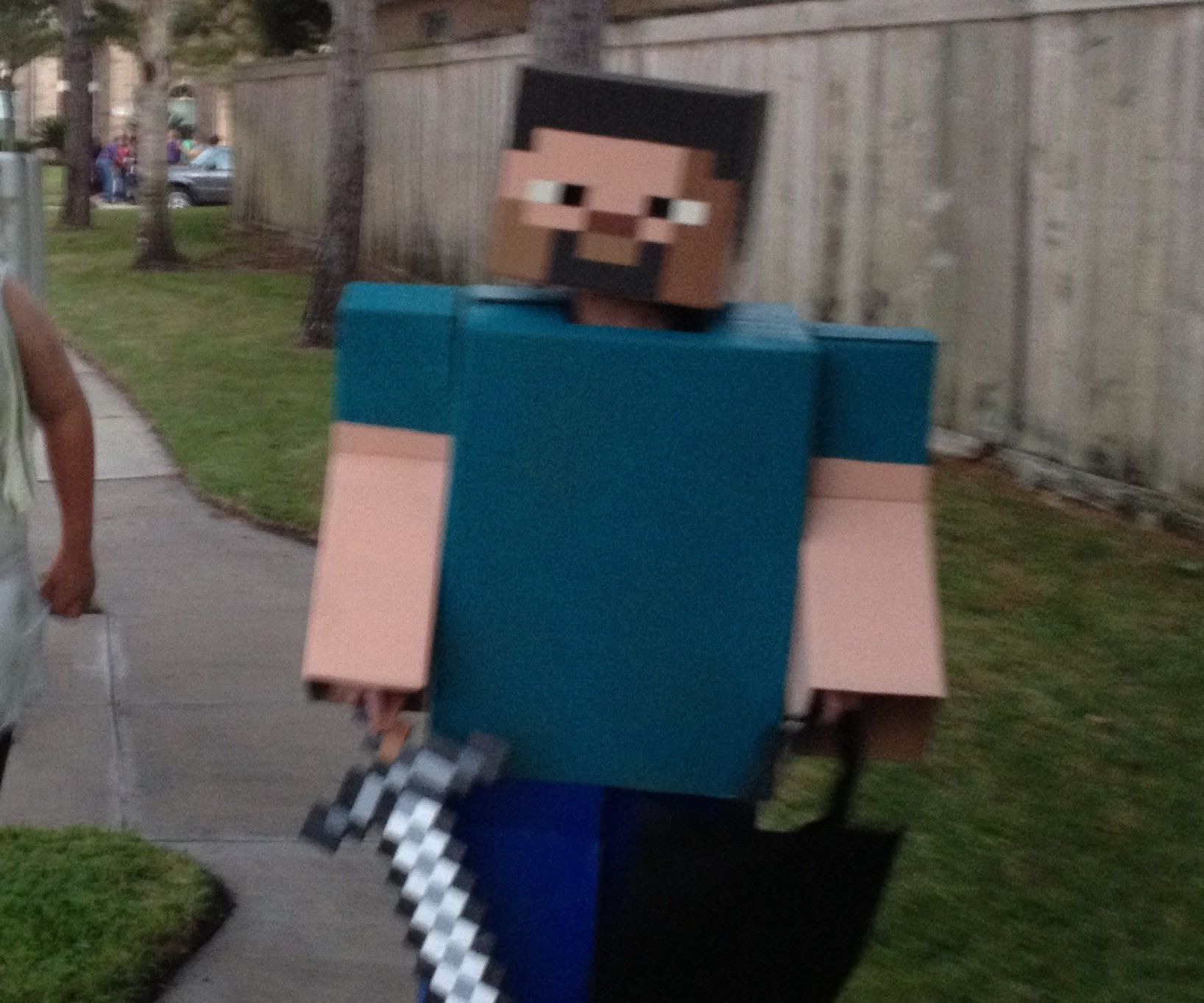Minecraft Steve Full Costume