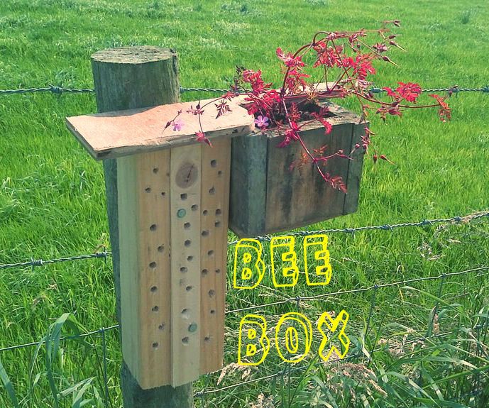 Bee Box