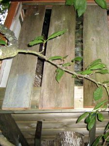 How to Build a Treehouse : 17 Steps (with Pictures) - Instructables