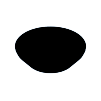 download {{ file.name }}