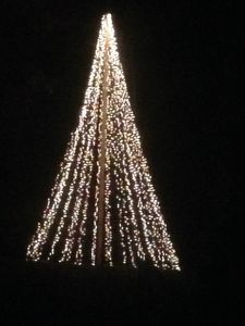 HUGE Light Christmas Tree