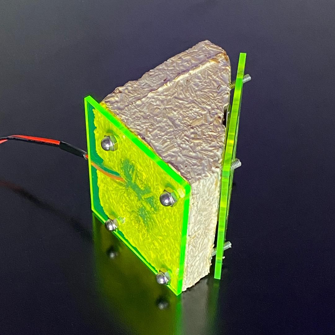 Make Your Own Speakers Out of Mycelium 9 Steps (with Pictures