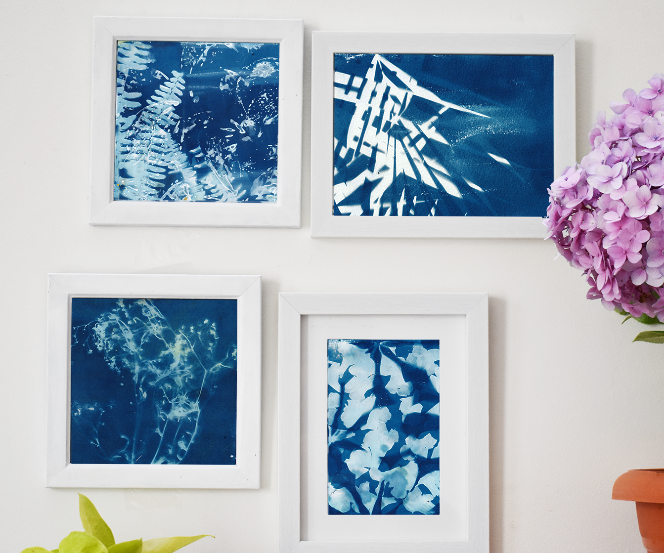 Cyanotype- Indigo Sun Printing 