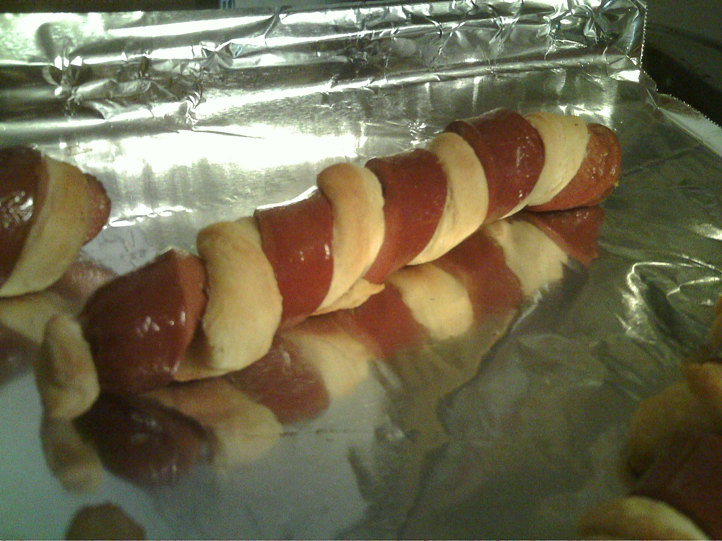 Spiral Dogs in a Blanket Instructables