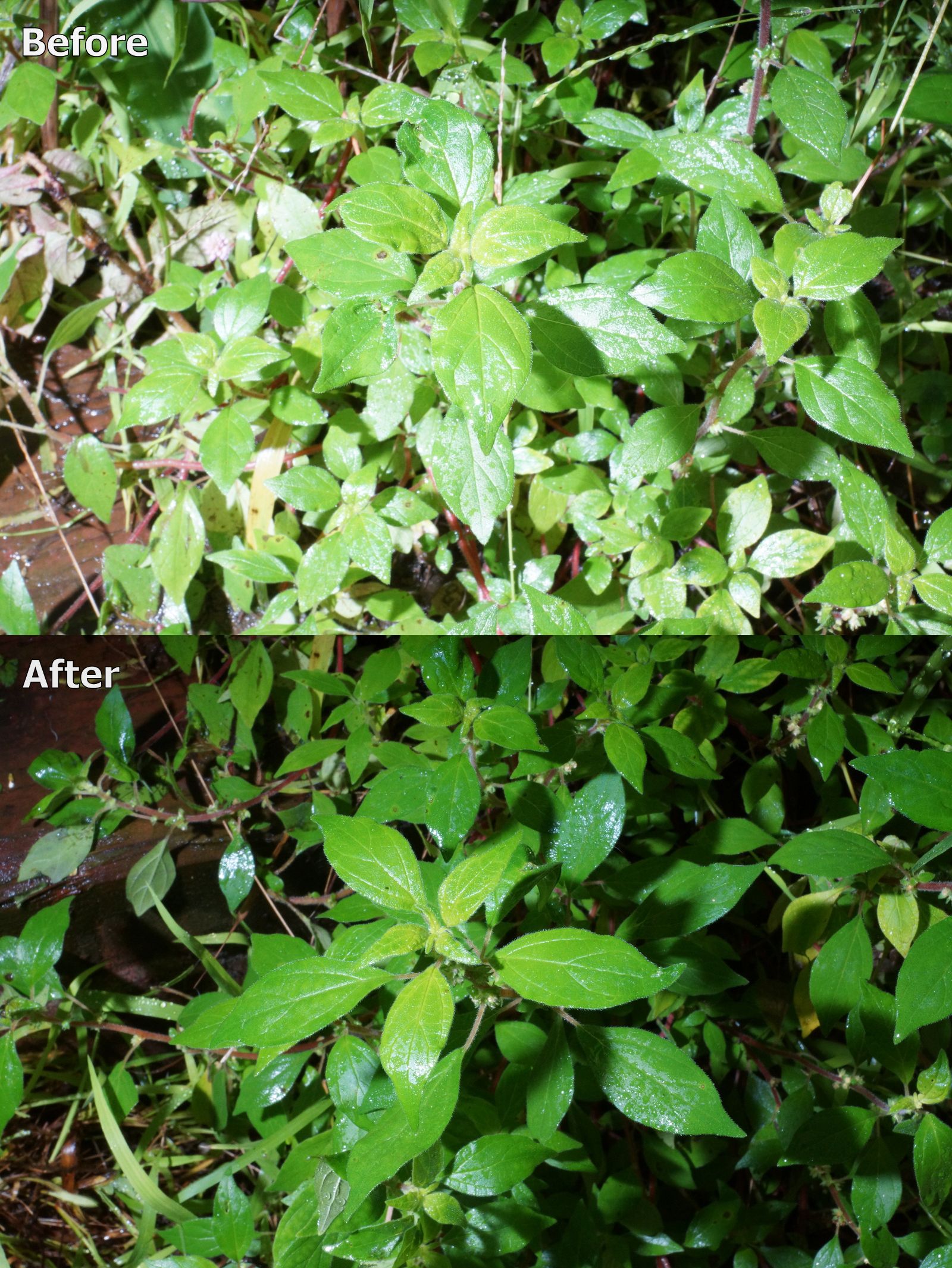 Get Amazing Flash Photos With a Simple Polarized Flash Modification.