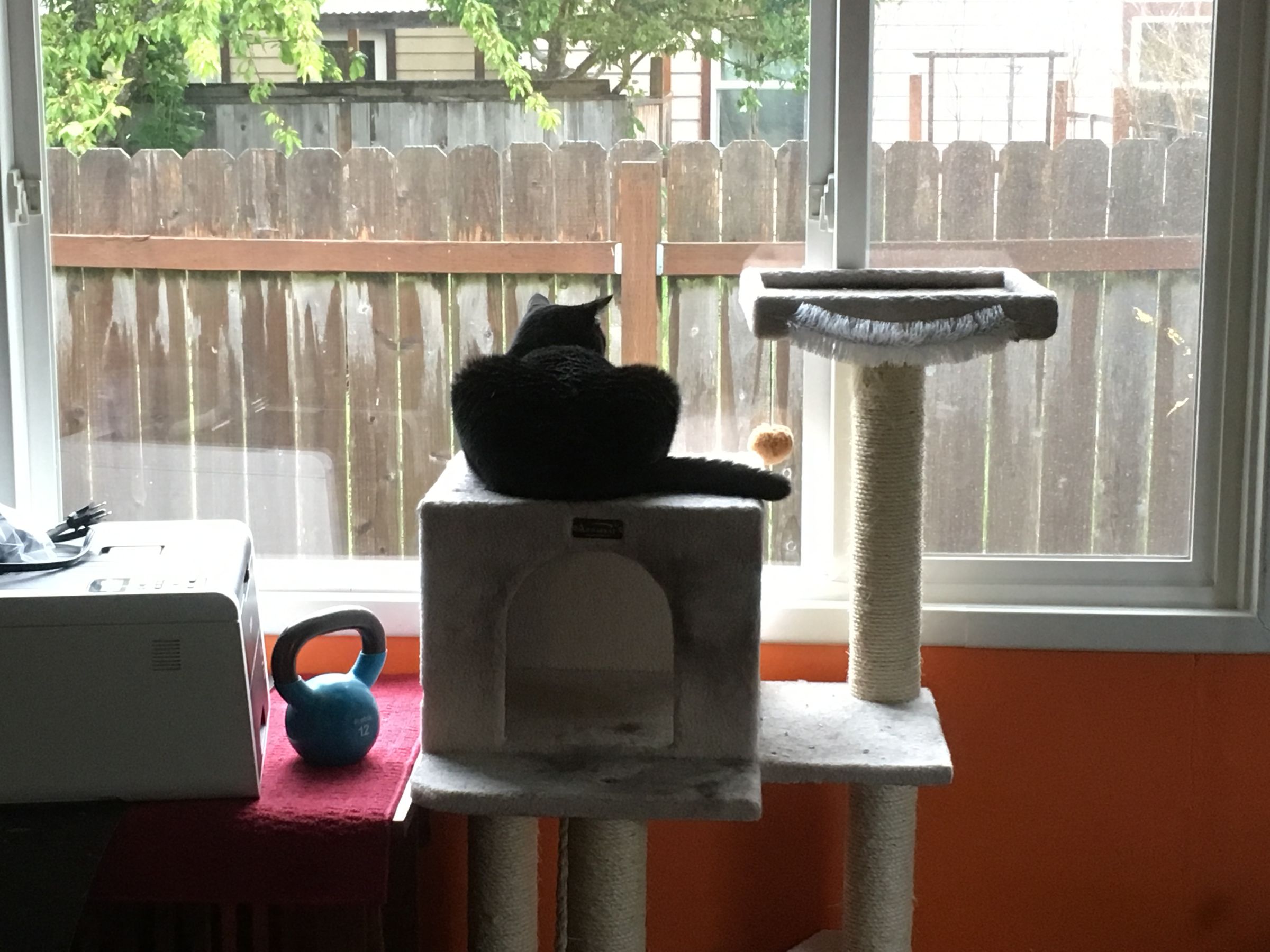 bird feeding station with roof