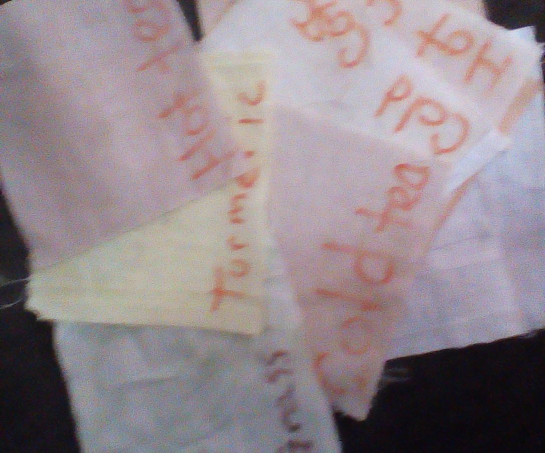 Naturally Dyed Fabric Experiment