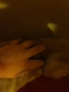 Pet Him or Her