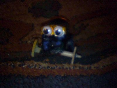 DuneBot 1.2 - an EasyBot Slideshow