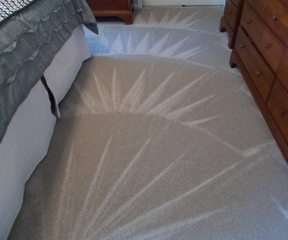  an Instant Guide for Choosing Finest Carpet Cleaning Options in Evanston