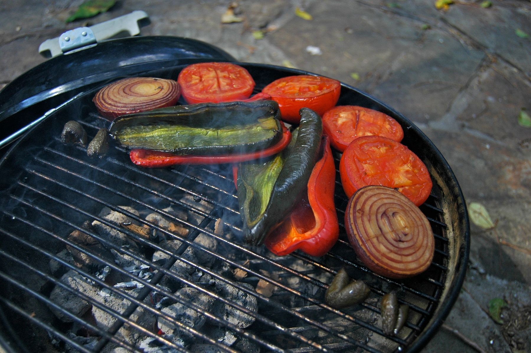 Smoked Veggie Queso Dip 9 Steps Instructables