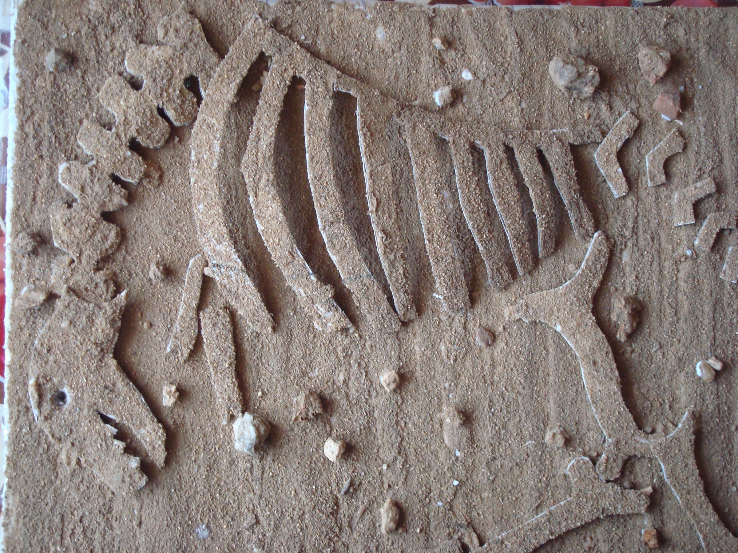 The Cardboard T- rex fossil