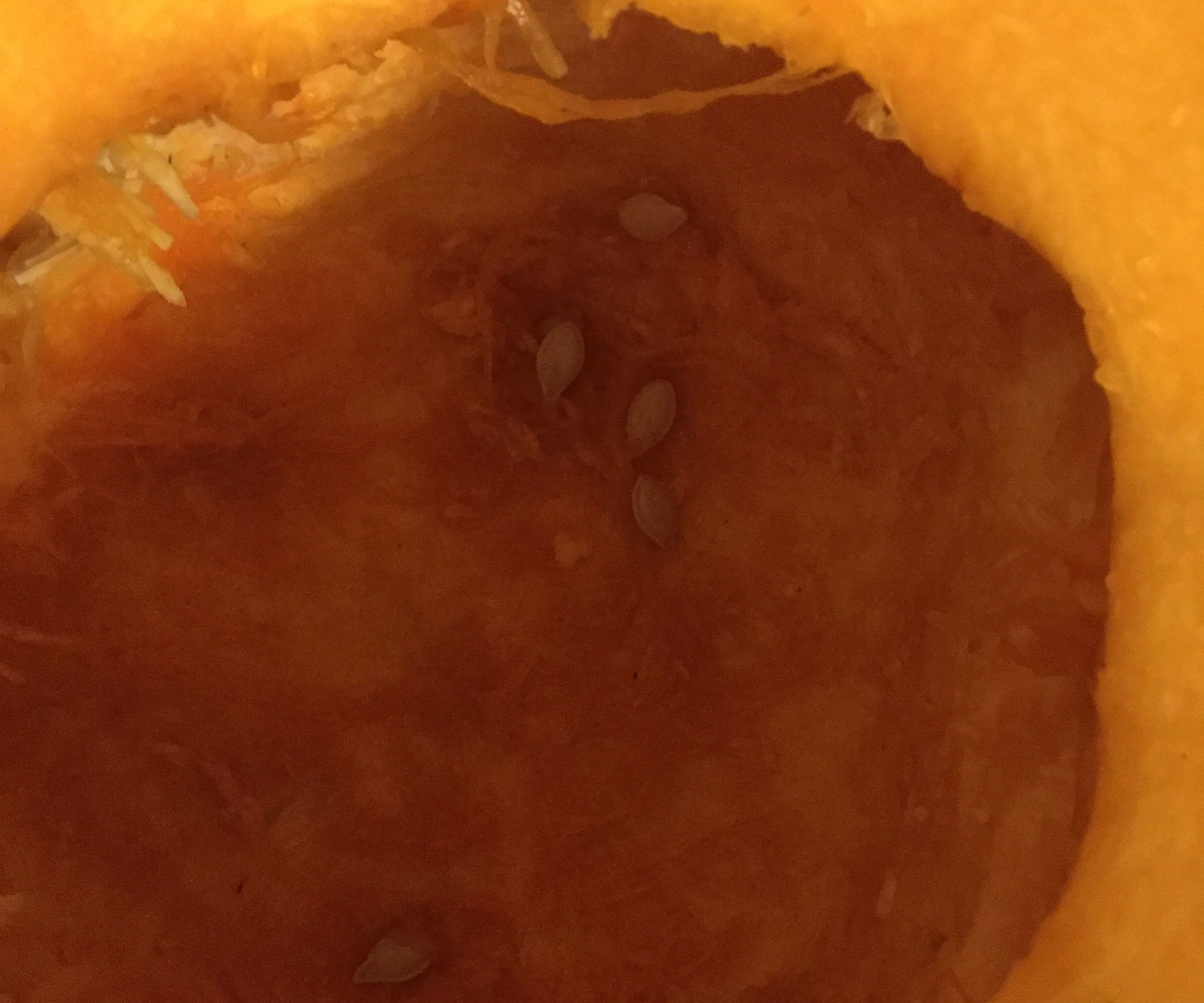 How to Clean Out Your Pumpkin With a Drill