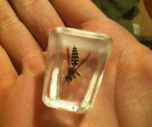 Preserve Insects in Resin