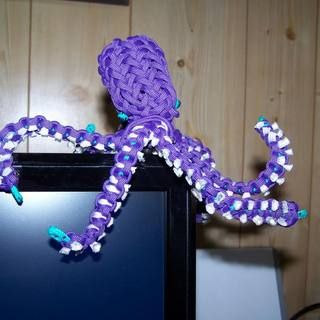 Collection Cover Image: Creative Paracord Uses