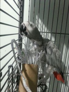 Let the Destruction Begin!