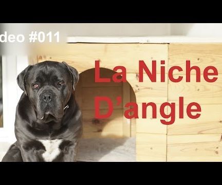 La niche d'angle