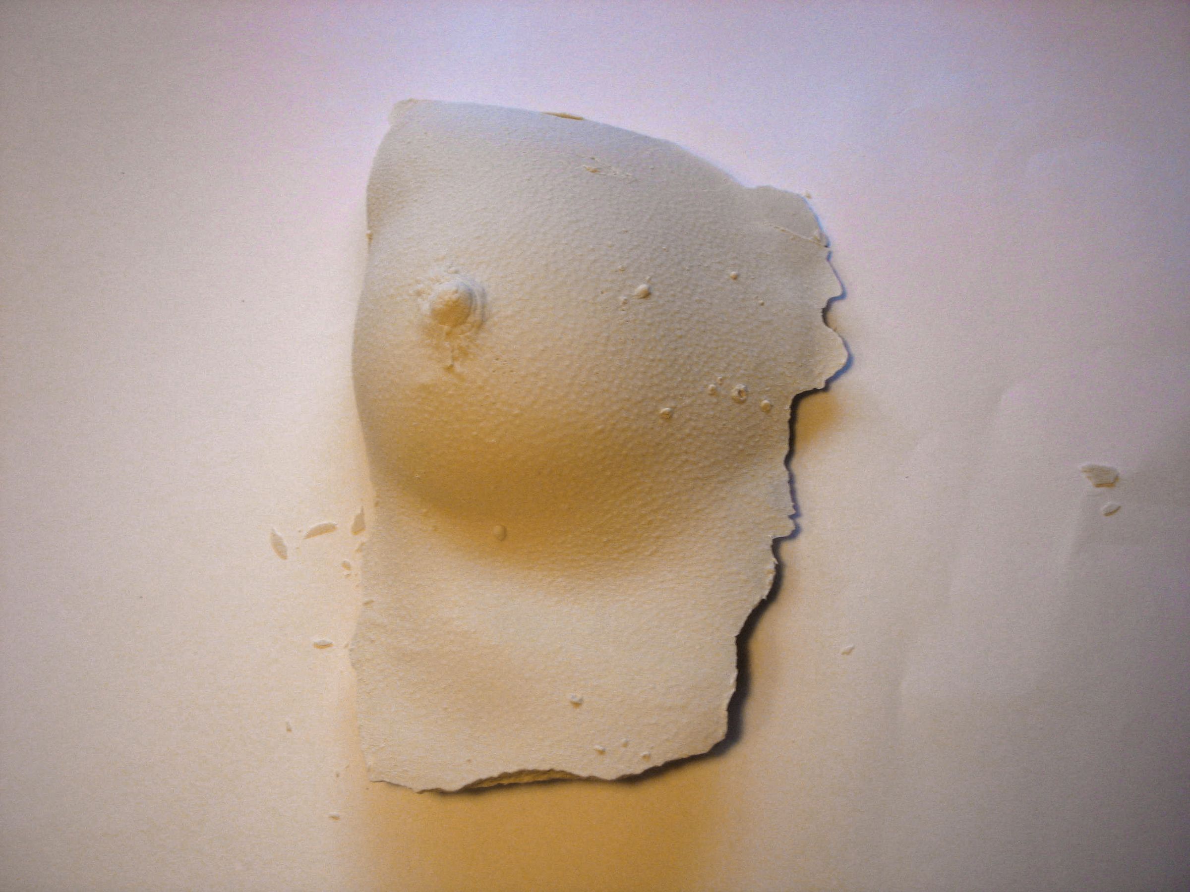 Replicating Body Parts in Plaster