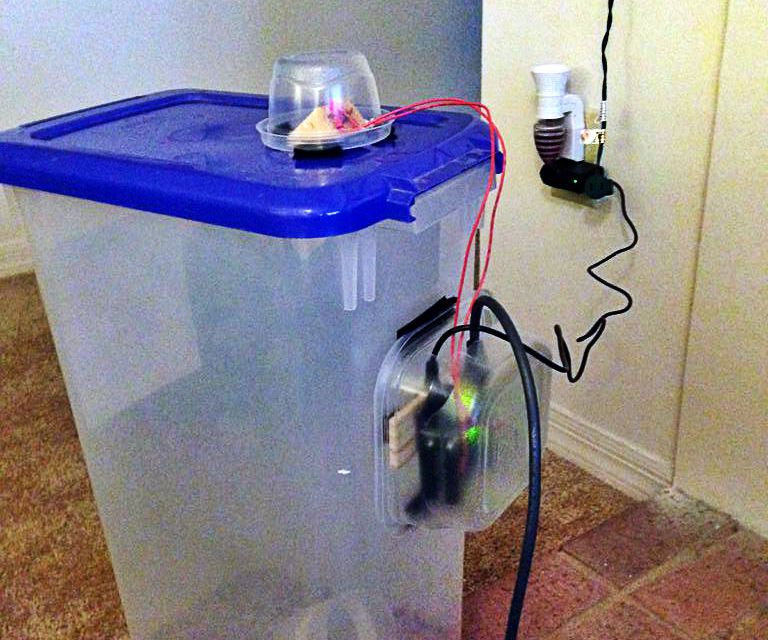 Tweeting Dog Feeder