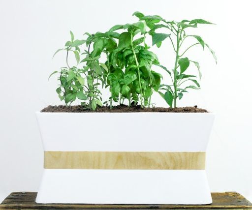 Hydroponic Smart Garden