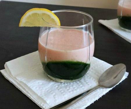 Watermelon Panna Cotta With Chervil Gelée