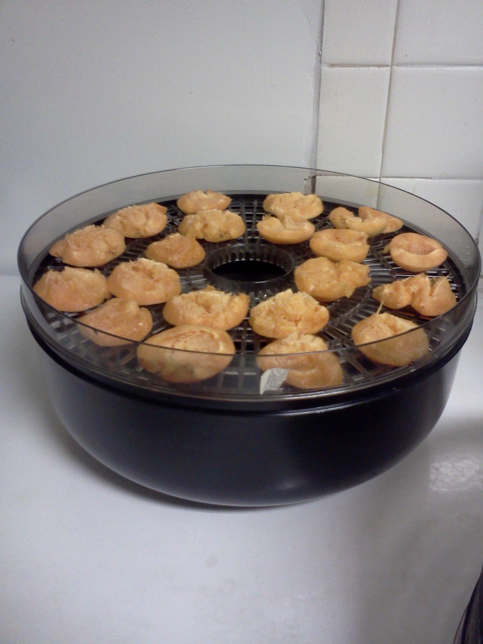 Dehydrating Apricots 4 Steps (with Pictures) Instructables