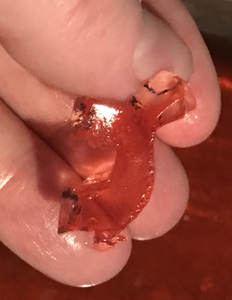 Cut Gelatin Pi's and Place in the Graham Cracker Crust