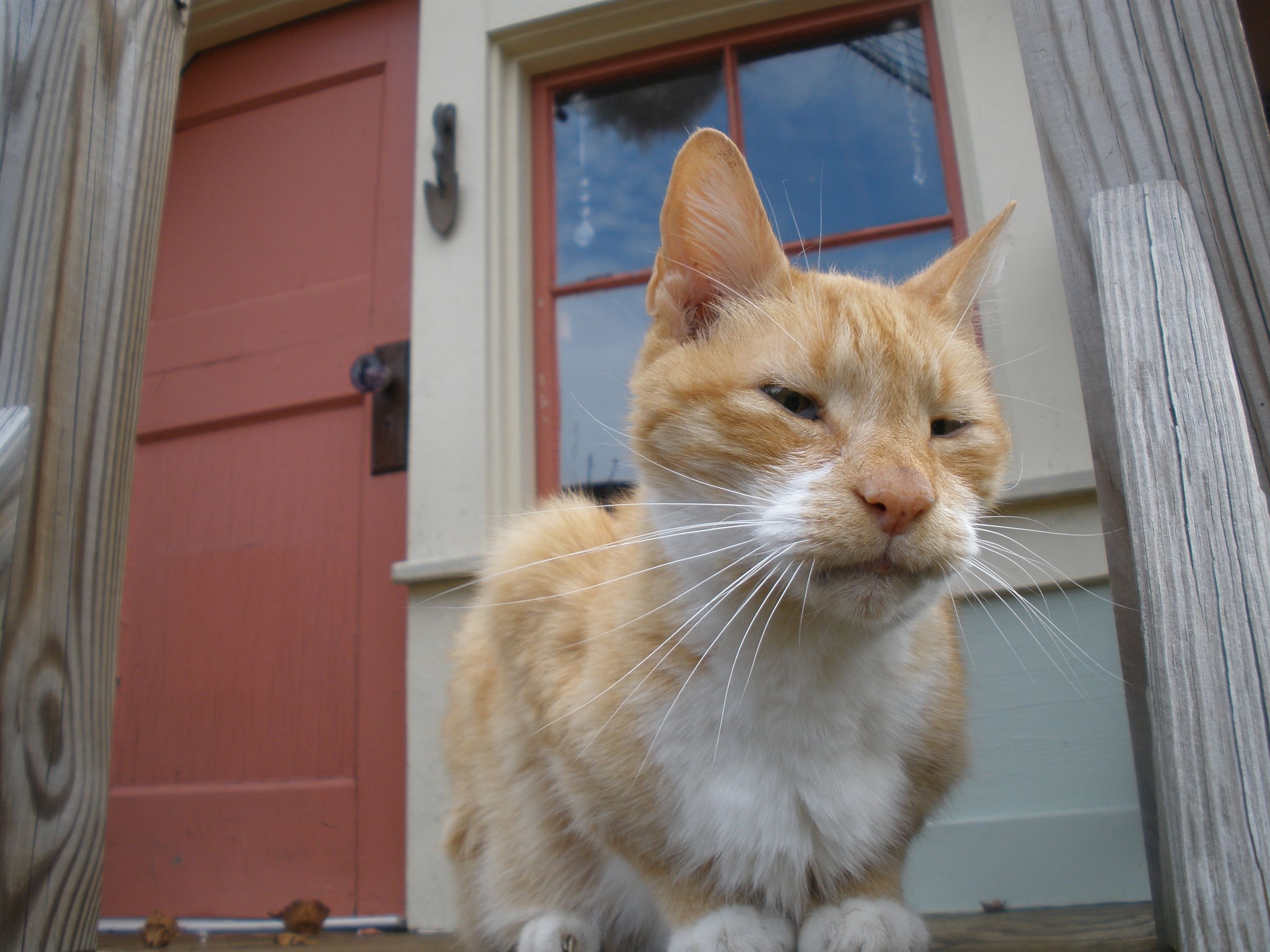 Tiny House Playhouse on Stilts