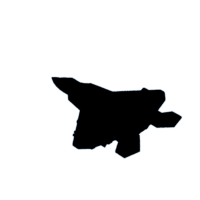 download {{ file.name }}