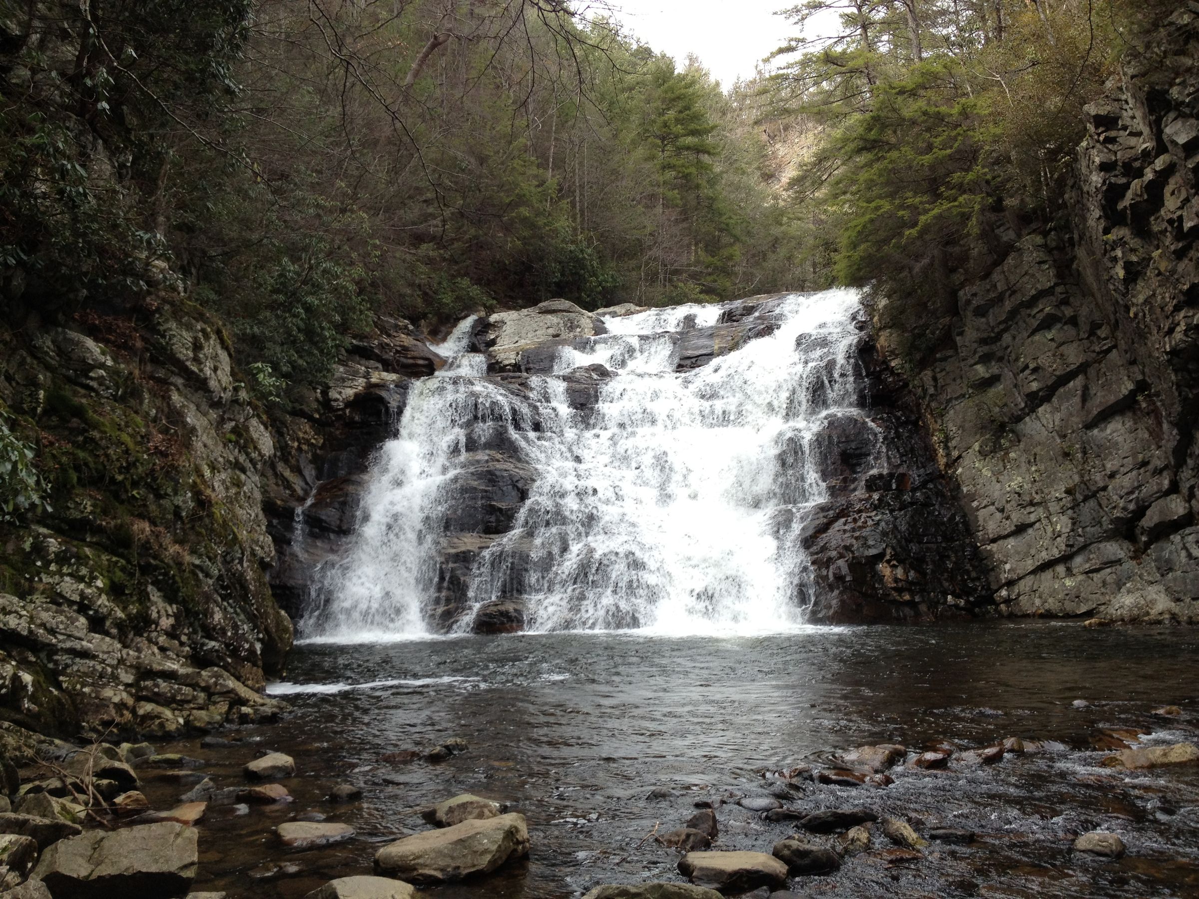 Custom Electric Guitar Body