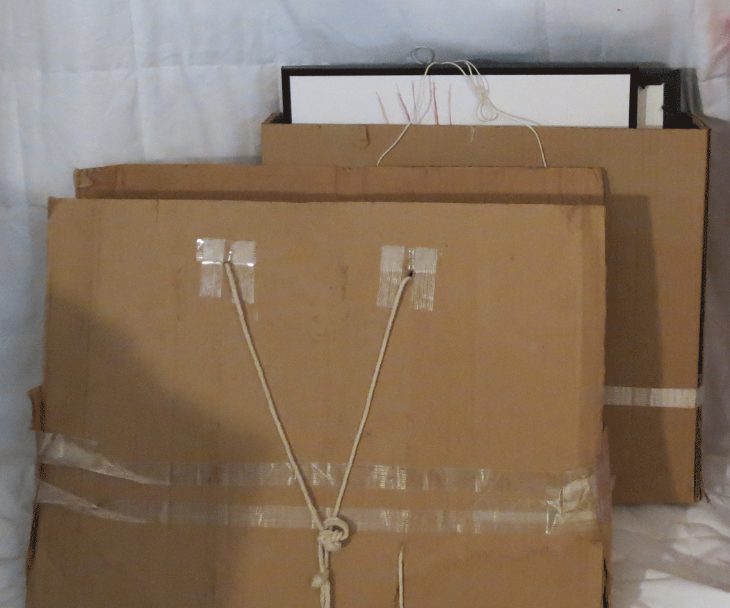 Cardboard Portfolio Carrying Case