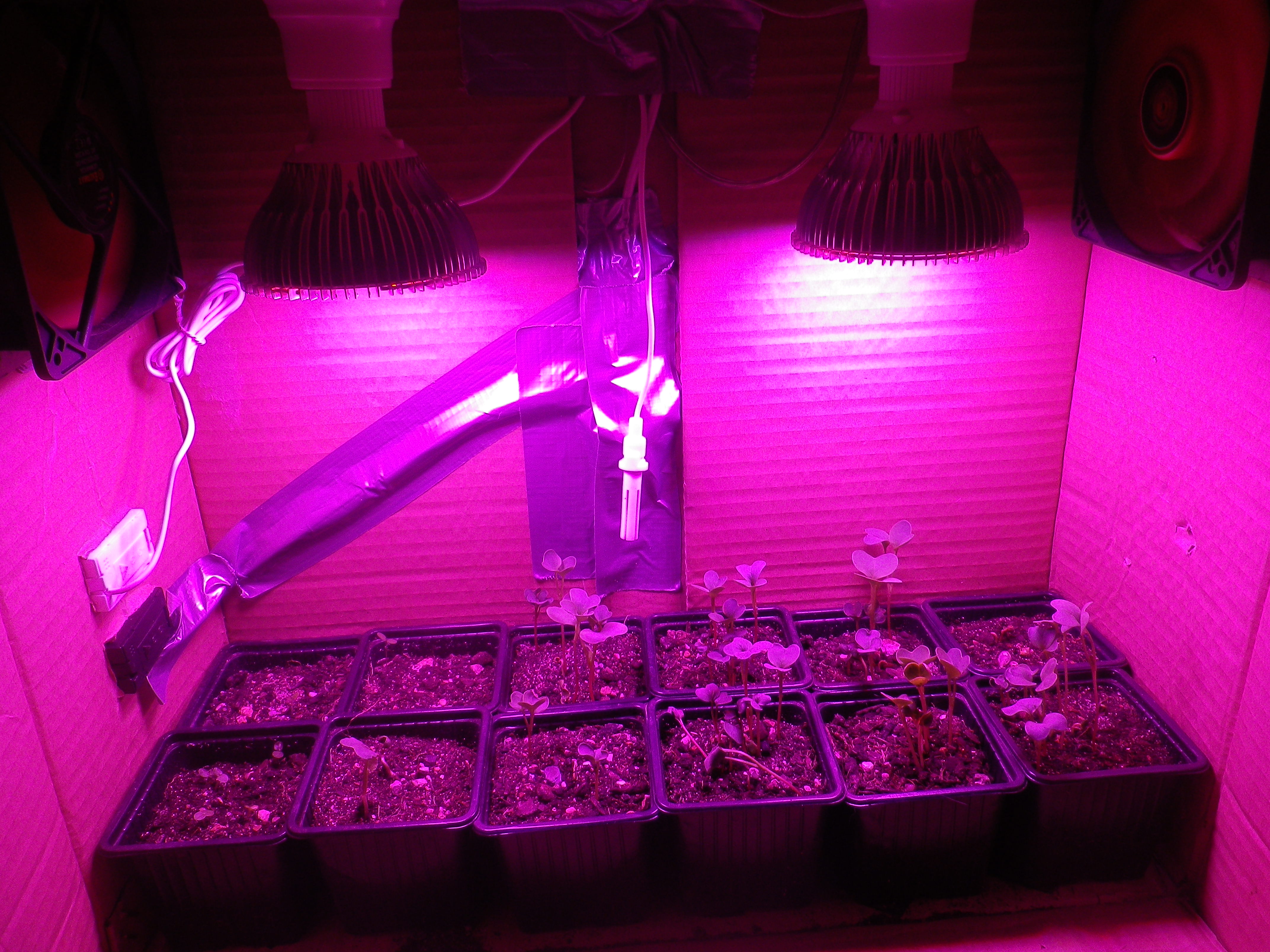 Small Grow & Germination Box in Cardbord Box 8 Steps (with Pictures) Instructables