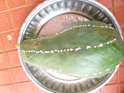 Prepare the Papaya