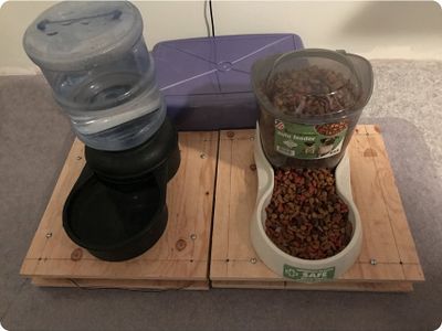 Log Your Pet's Weight, and Get a Text When They Are Out of Food!