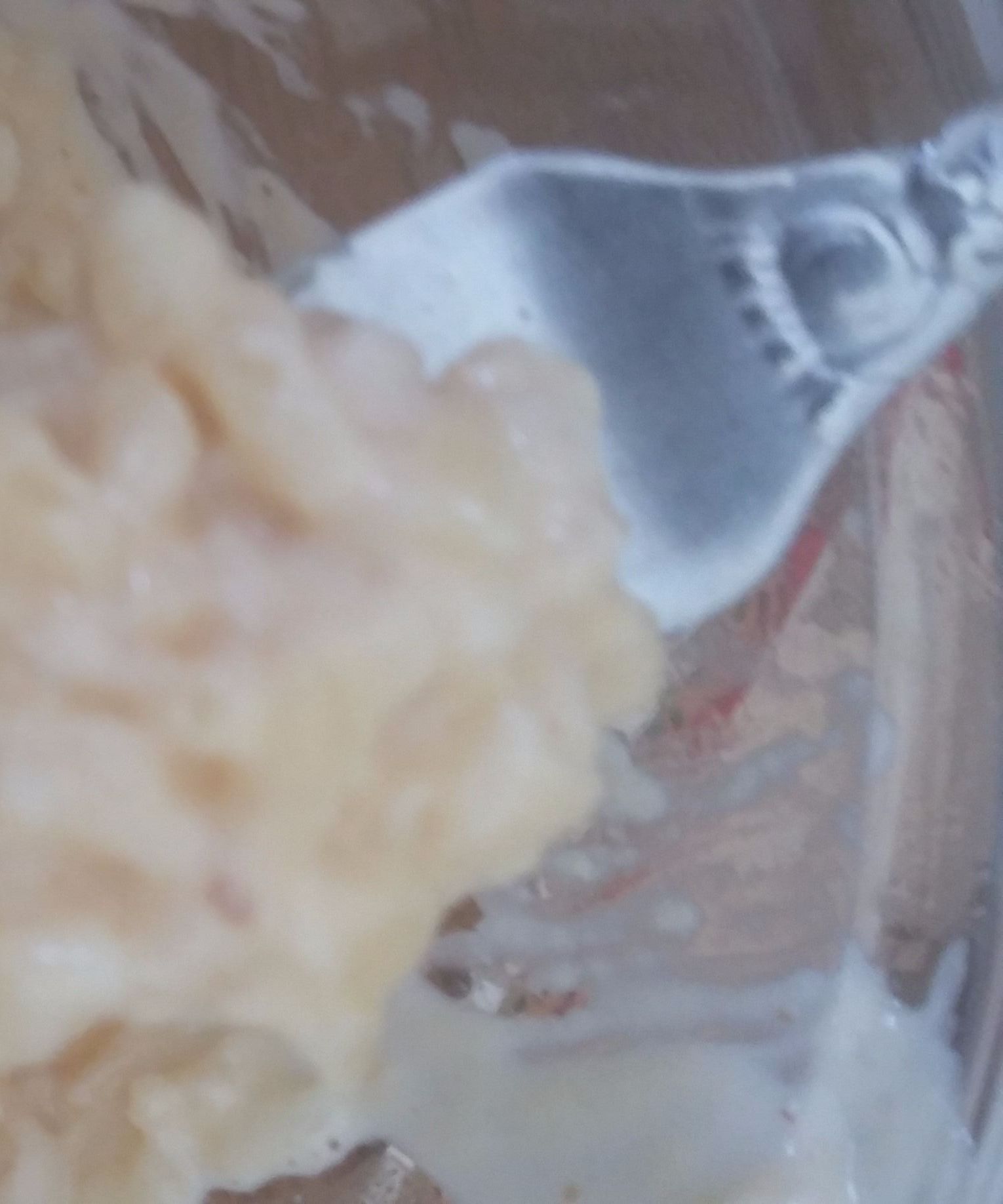 Rice Pudding Premium