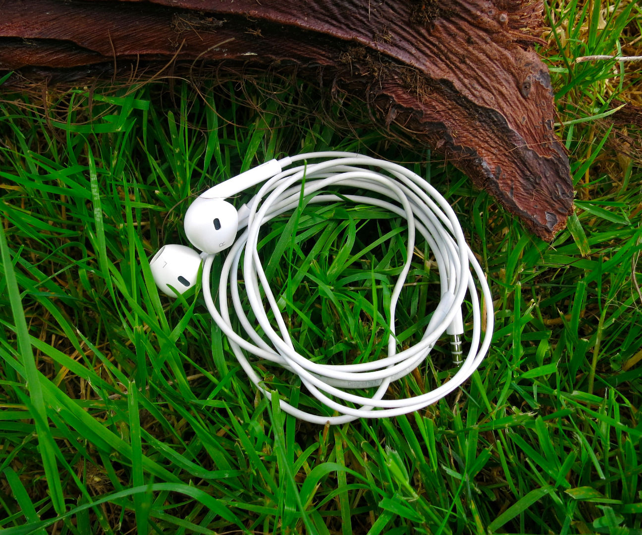 Survival Uses for Headphones